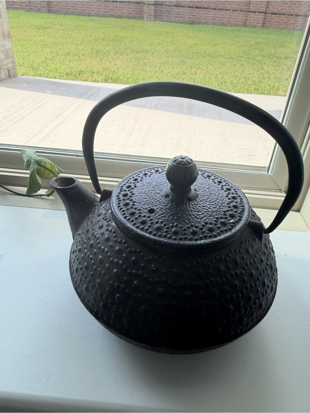 Cast Iron Japanese teapot Black Textured Teapot with Handle